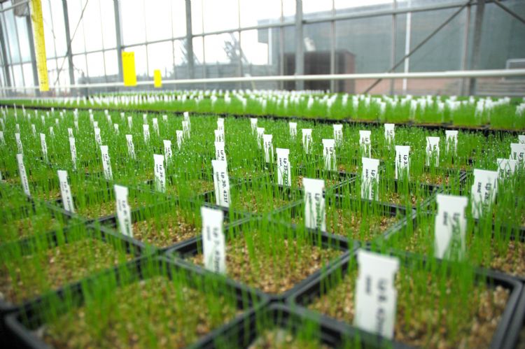 Met gedegen research komt DLF tegemoet aan de hoge eisen van de fieldmanager. Met gedegen research komt DLF tegemoet aan de hoge eisen van de fieldmanager.