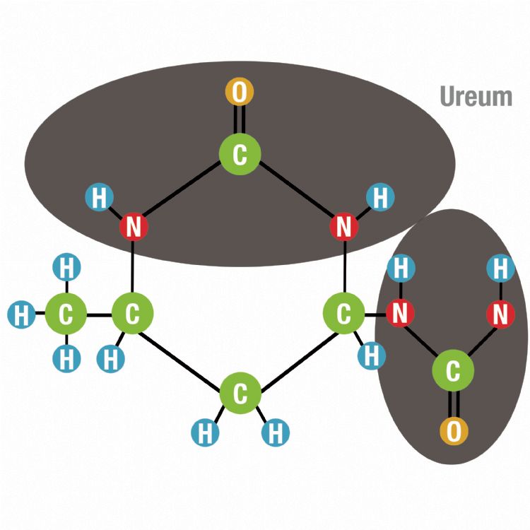 Crotodur ureumgroepen. Crotodur ureumgroepen.