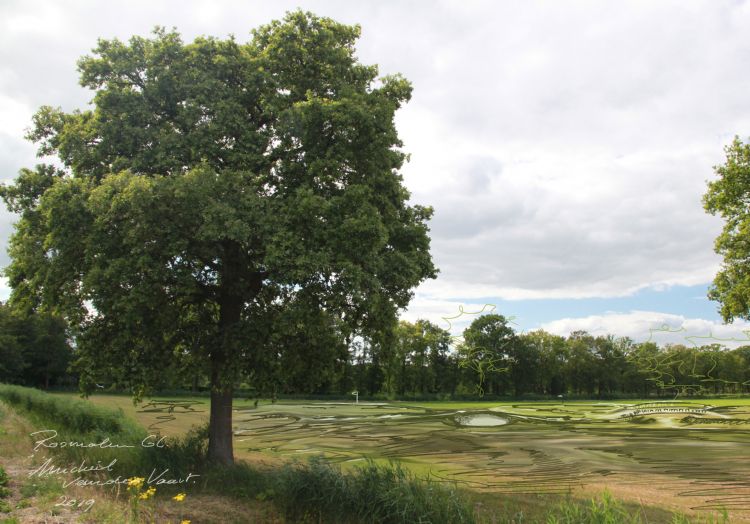 Een impressie van de nieuwe golfbaan Een impressie van de nieuwe golfbaan