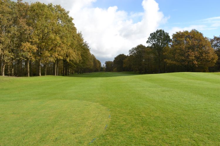 De Gelpenberg is een echte bosheidebaan. De Gelpenberg is een echte bosheidebaan.