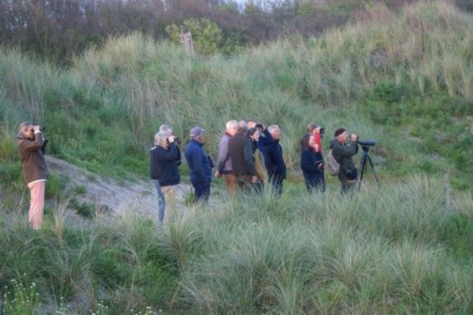 Birdwatching Day op de Domburgsche Golfclub. (Foto:NGF)