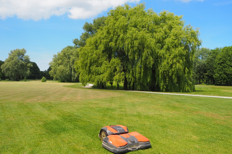 Een Ceora 546 aan het werk op de semi-rough