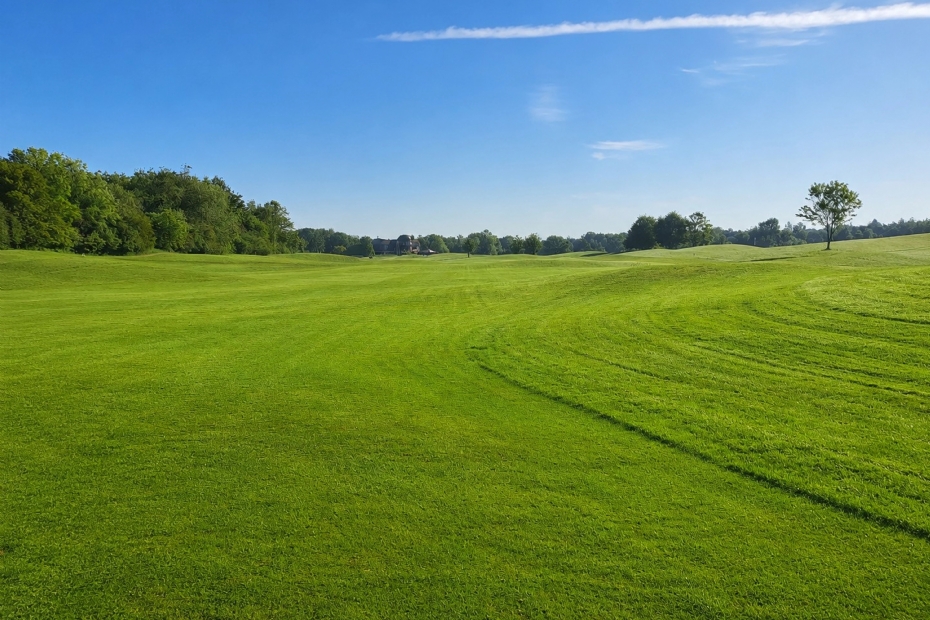 Maaipatronen in de fairways
